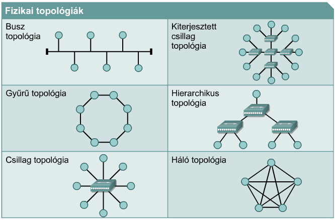 Hálózati