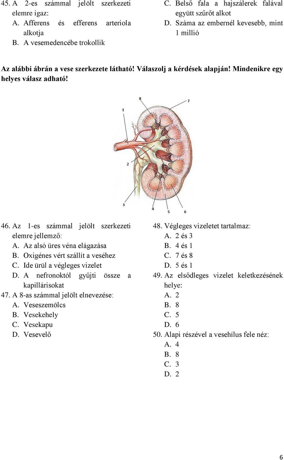 Az 1-es számmal jelölt szerkezeti elemre jellemző: A. Az alsó üres véna elágazása B. Oxigénes vért szállít a veséhez C. Ide ürül a végleges vizelet D. A nefronoktól gyűjti össze a kapillárisokat 47.