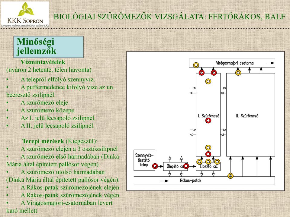 A II. jelű lecsapoló zsilipnél.