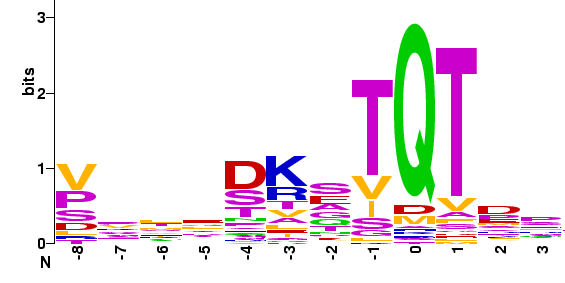 nnos BimL DAP 1 α myosin Va Gephyrin NRF-1 BS69 Swallow Bmf DIC p53bp1 TRPS1 CIZ1 p54 (ASFvir.)þ P protein (Rabiesvir.)þ 100 aa VSL2 IUPred -glob kötőrégió coiled-coil régió 51. ábra.