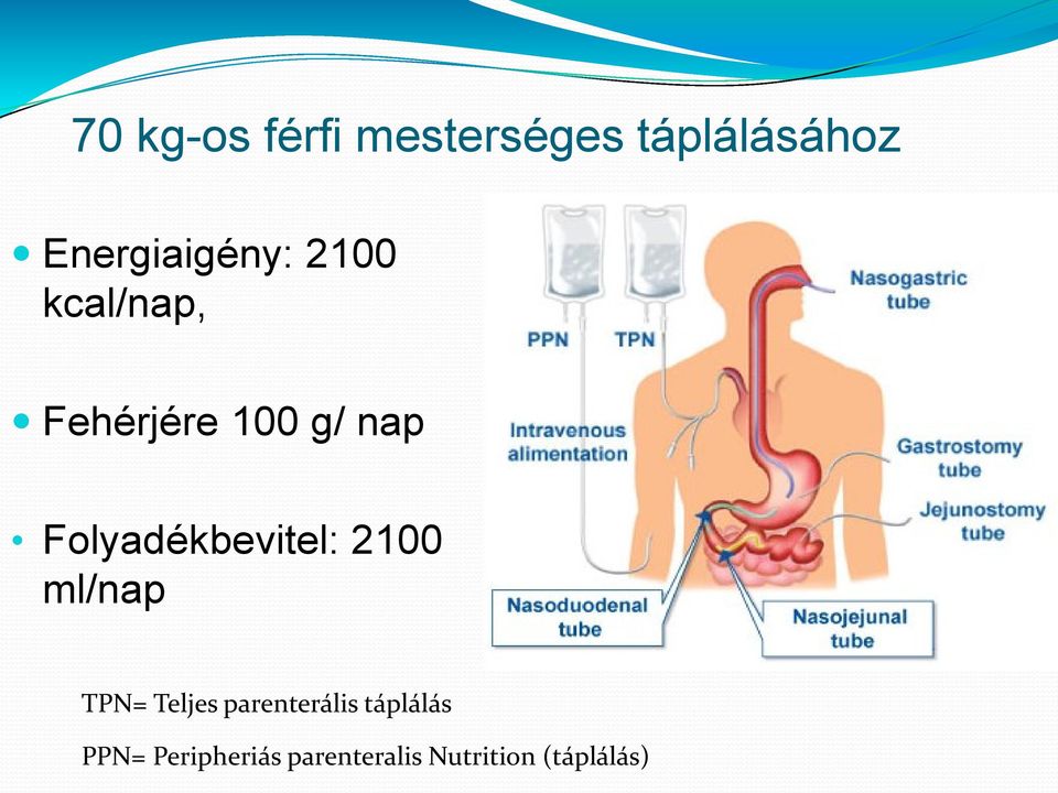 Folyadékbevitel: 2100 ml/nap TPN= Teljes