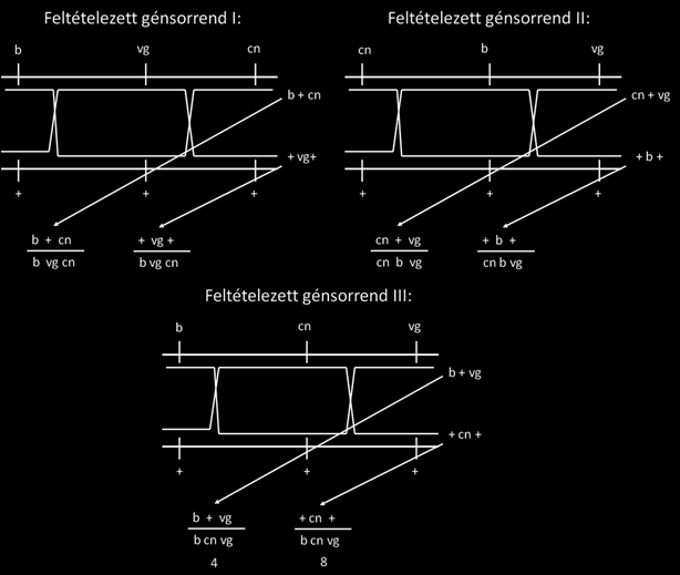 Drosophila genetika - géntérképezés Állapítsuk meg a gének közötti távolságokat, a génsorrendet és a crossing over interferencia értékét.