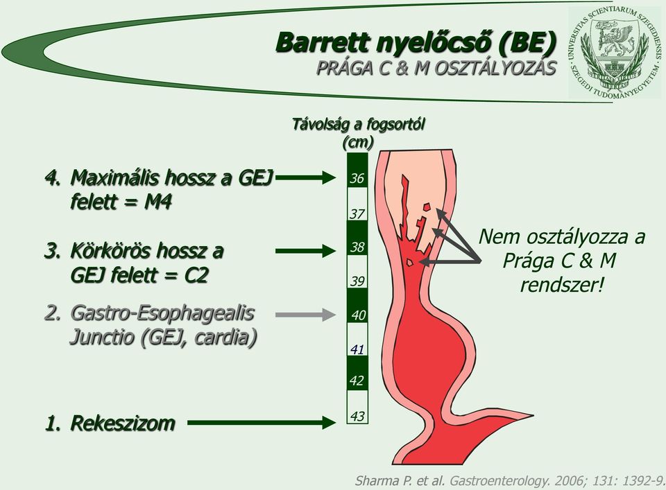 Gastro-Esophagealis Junctio (GEJ, cardia) 36 37 38 39 40 41 42 Nem osztályozza a