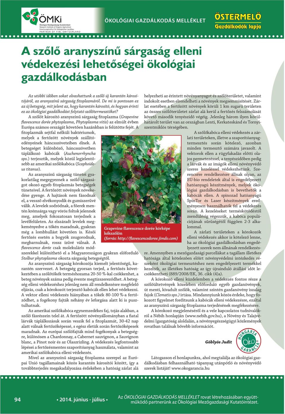 A szőlőt károsító aranyszínű sárgaság fitoplazma (Grapevine flavescence dorée phytoplasma, Phytoplasma vitis) az elmúlt évben Európa számos országát követően hazánkban is felütötte fejét.