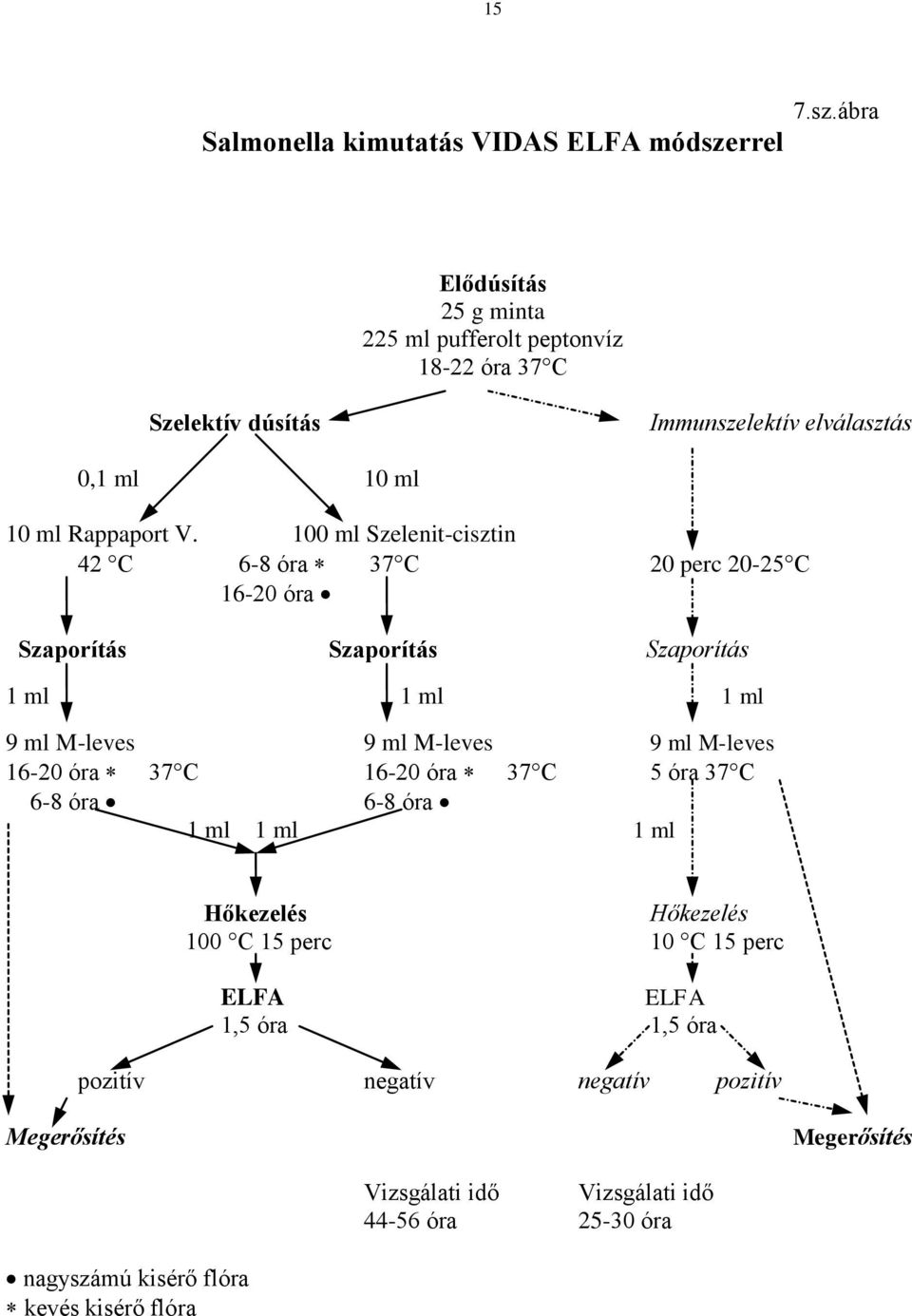 100 ml Szelenit-cisztin 42 C 6-8 óra 37 C 20 perc 20-25 C 16-20 óra Szaporítás Szaporítás Szaporítás 1 ml 1 ml 1 ml 9 ml M-leves 9 ml M-leves 9 ml M-leves 16-20