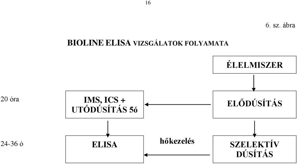 FOLYAMATA ÉLELMISZER 20 óra IMS, ICS