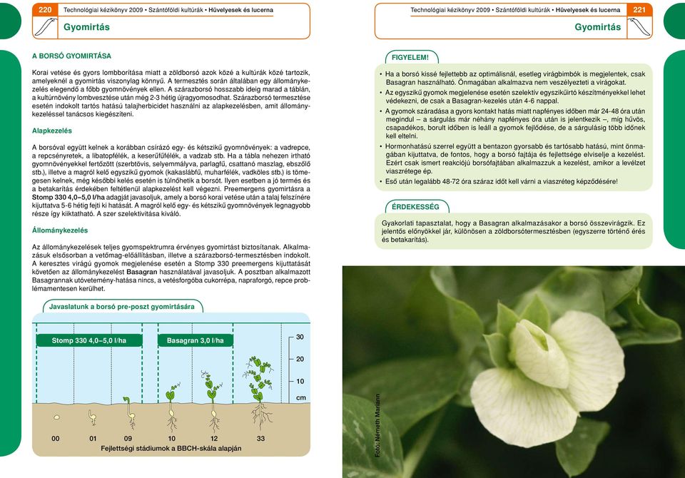 Szárazborsó termesz tése esetén indokolt tartós hatású talajherbicidet használni az alapkezelésben, amit állománykezeléssel tanácsos kiegészíteni.