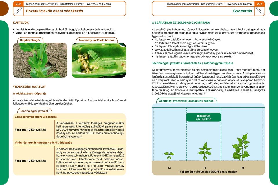 Csipkézôbogár Akácmoly kártétele borsón A szárazbab és zöldbab gyomirtása Az eredményes babtermesztés egyik titka a termôhely kiválasztása.