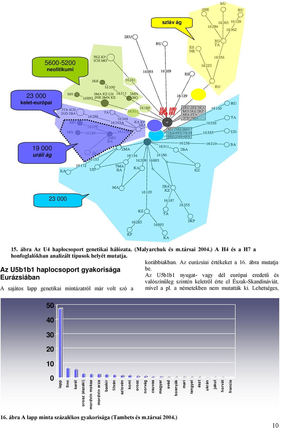 Az eurázsiai értékeket a 16. ábra mutatja be. Az U5b1b1 nyugat- vagy dél európai eredetű és valószínűleg szintén keletről érte el Észak-Skandináviát, mivel a pl. a németekben nem mutatták ki.