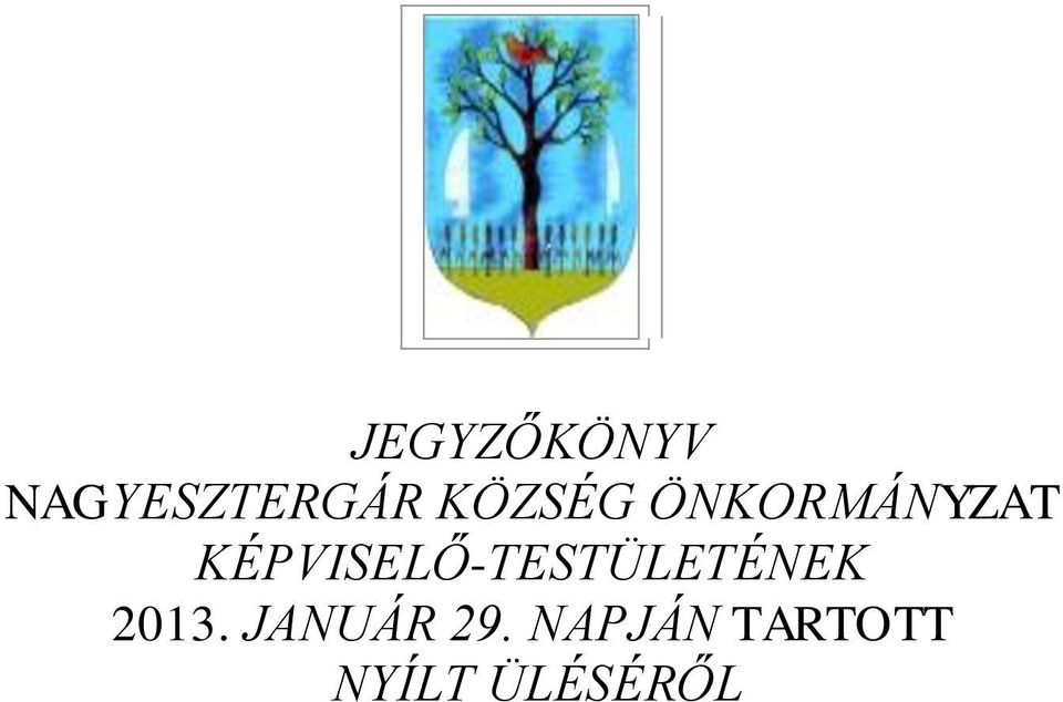 KÉPVISELŐ-TESTÜLETÉNEK 2013.