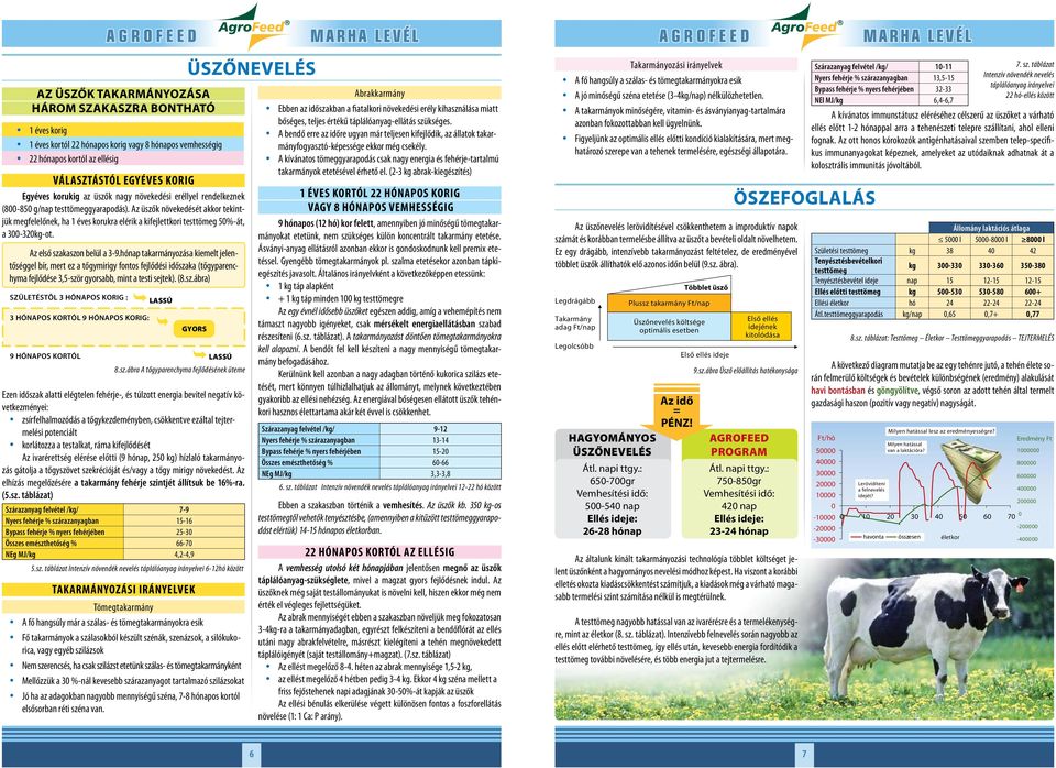 Az első szakaszon belül a 3-9.hónap takarmányozása kiemelt jelentőséggel bír, mert ez a tőgymirigy fontos fejlődési időszaka (tőgyparenchyma fejlődése 3,5-ször gyorsabb, mint a testi sejtek). (8.sz.ábra) SZÜLETÉSTÕL 3 HÓNAPOS KORIG : 3 HÓNAPOS KORTÓL 9 HÓNAPOS KORIG: LASSÚ GYORS 9 HÓNAPOS KORTÓL LASSÚ 8.