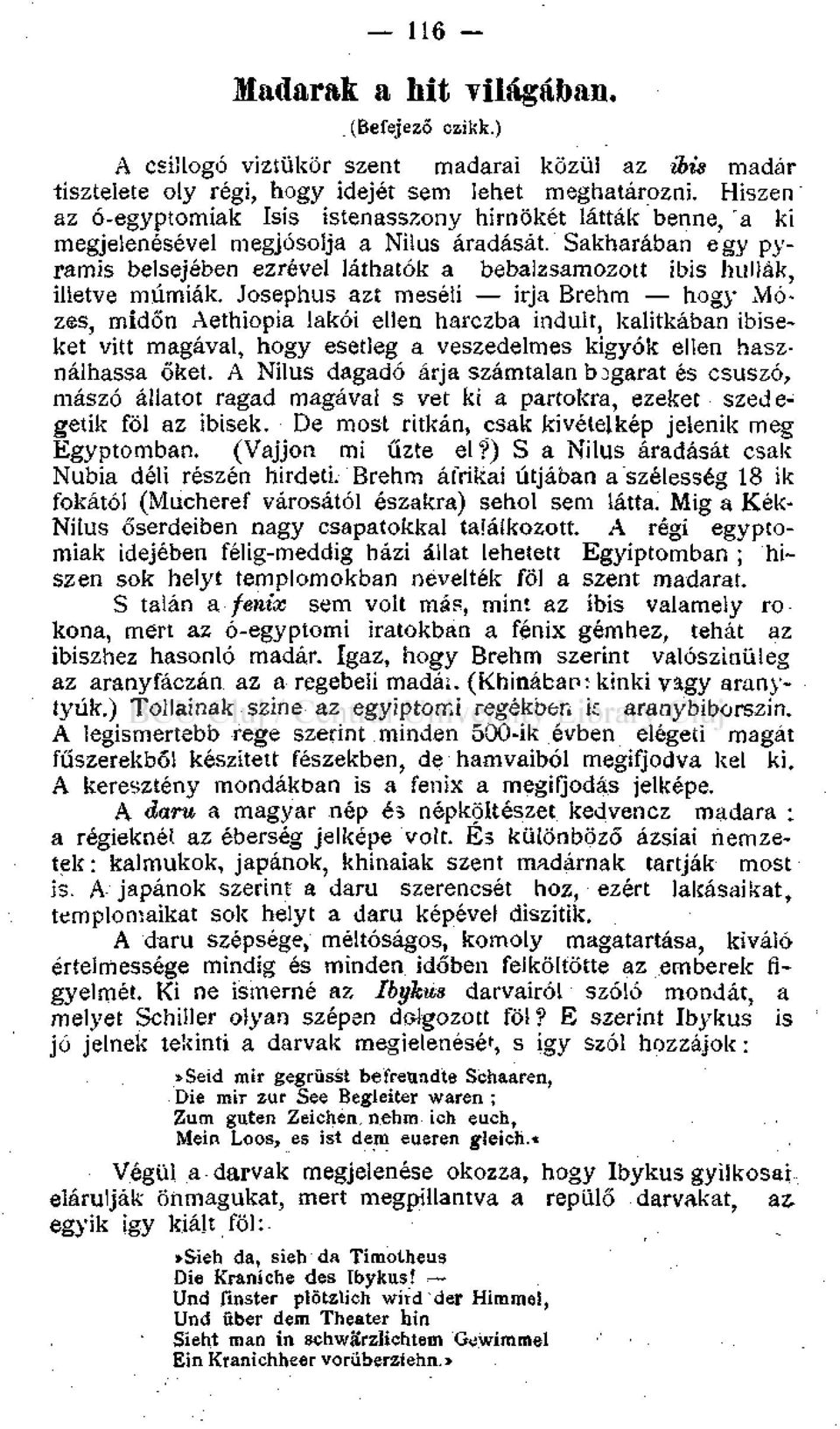 Sakharában egy pyramis belsejében ezrével láthatók a bebalzsamozott ibis hullák, illetve múmiák.