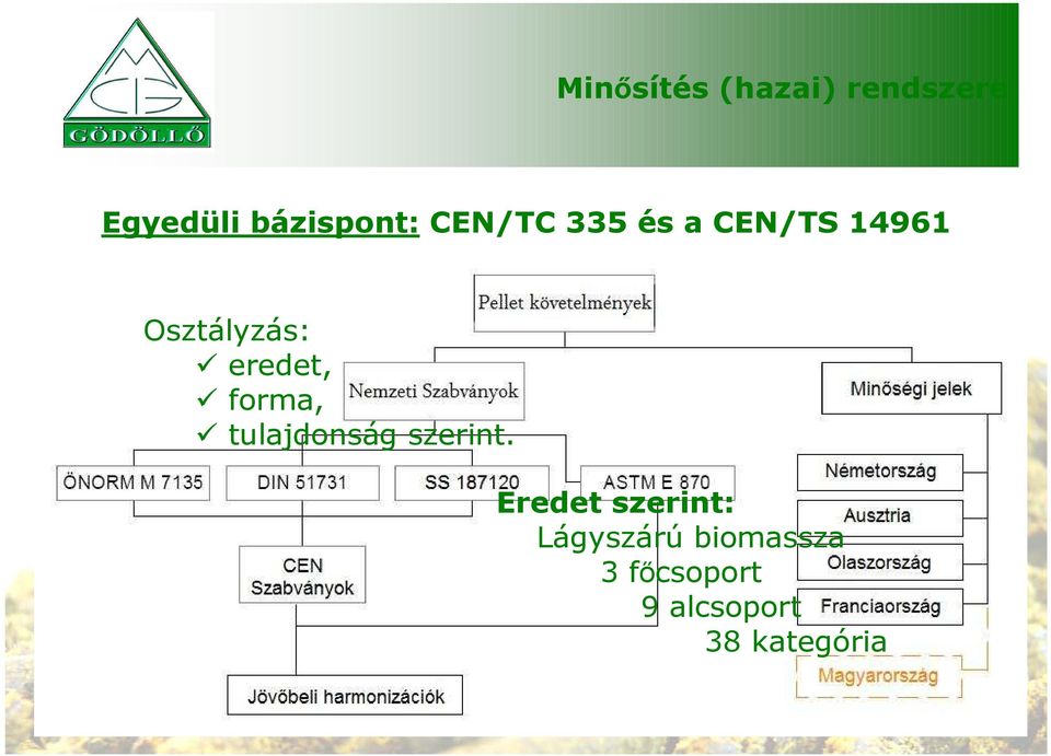 forma, tulajdonság szerint.