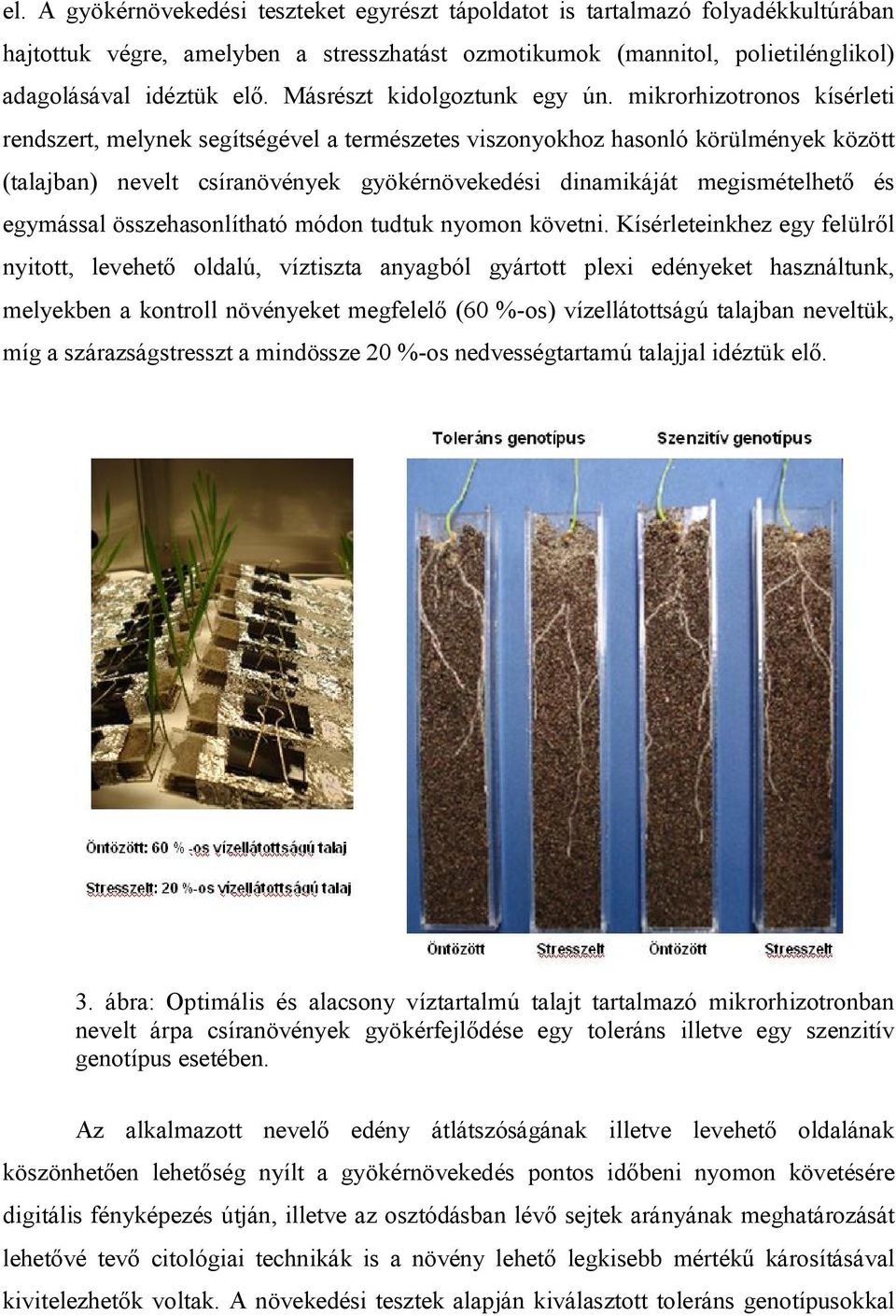 mikrorhizotronos kísérleti rendszert, melynek segítségével a természetes viszonyokhoz hasonló körülmények között (talajban) nevelt csíranövények gyökérnövekedési dinamikáját megismételhető és