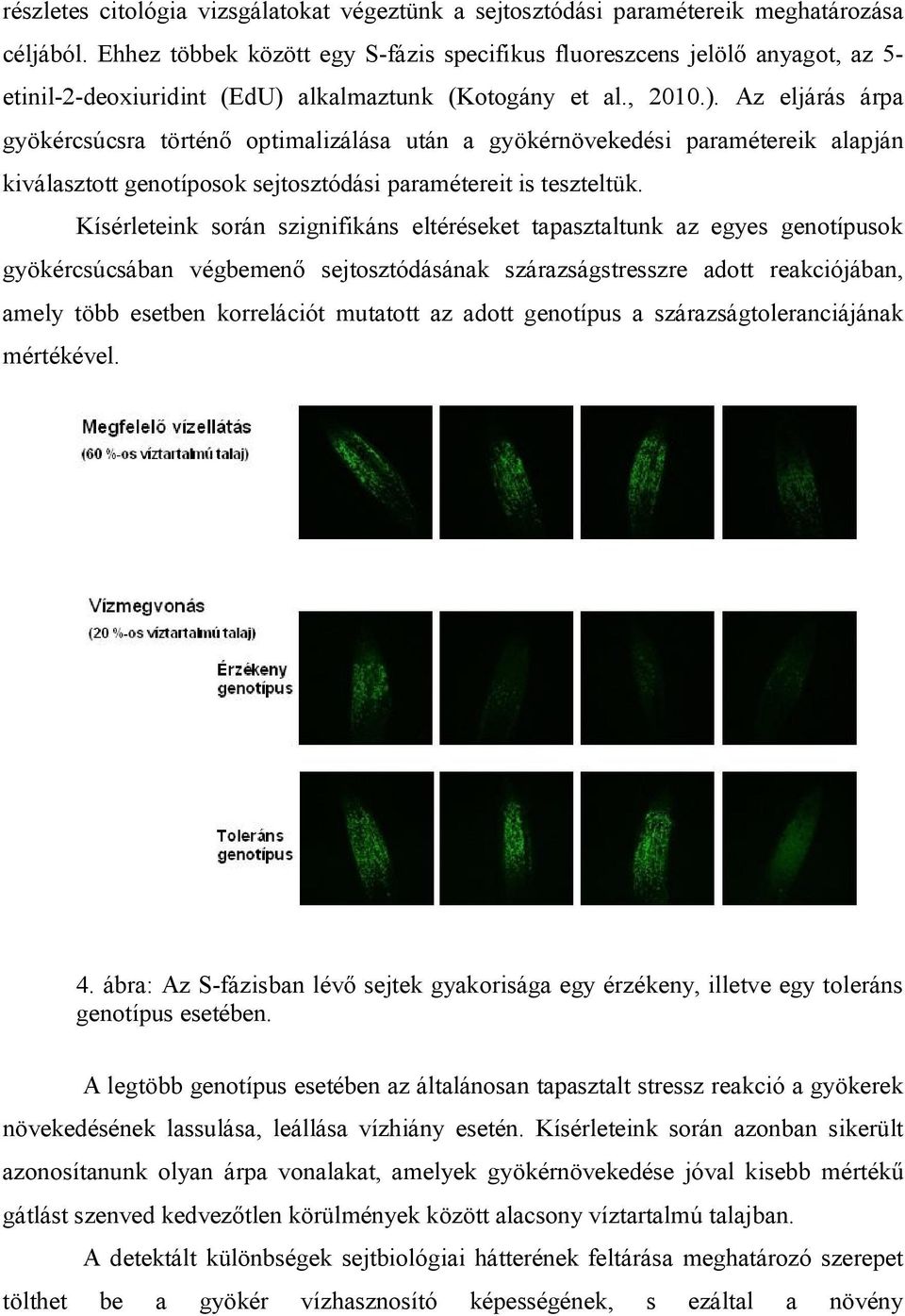 alkalmaztunk (Kotogány et al., 2010.).