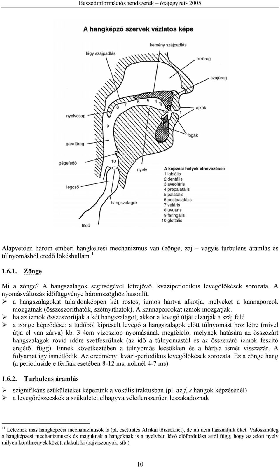 a hangszalagokat tulajdonképpen két rostos, izmos hártya alkotja, melyeket a kannaporcok mozgatnak (összeszoríthatók, szétnyithatók). A kannaporcokat izmok mozgatják.