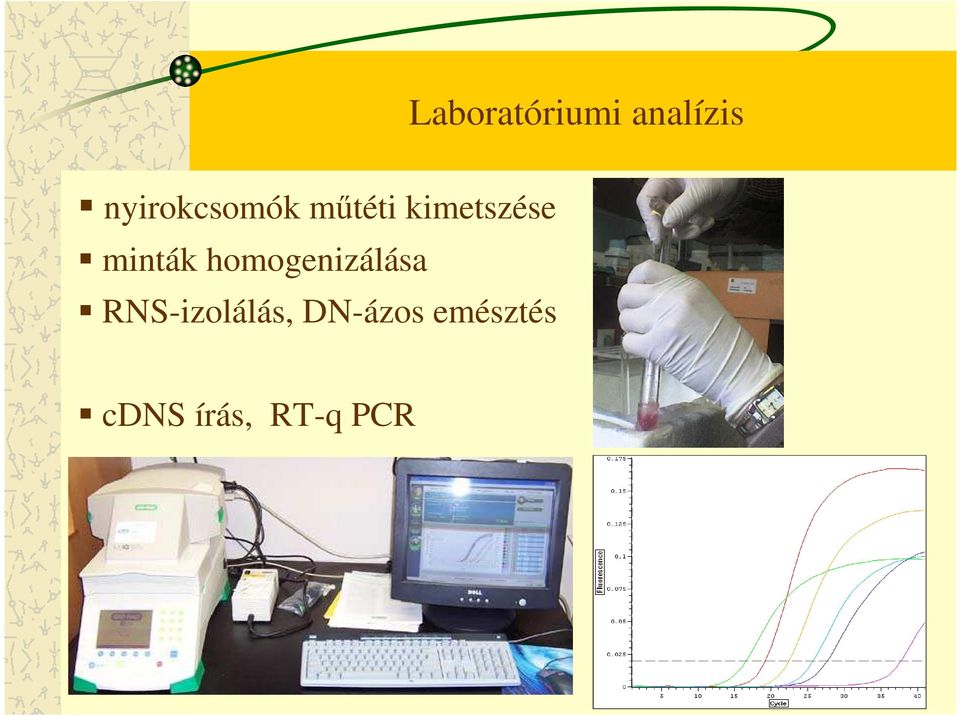 minták homogenizálása