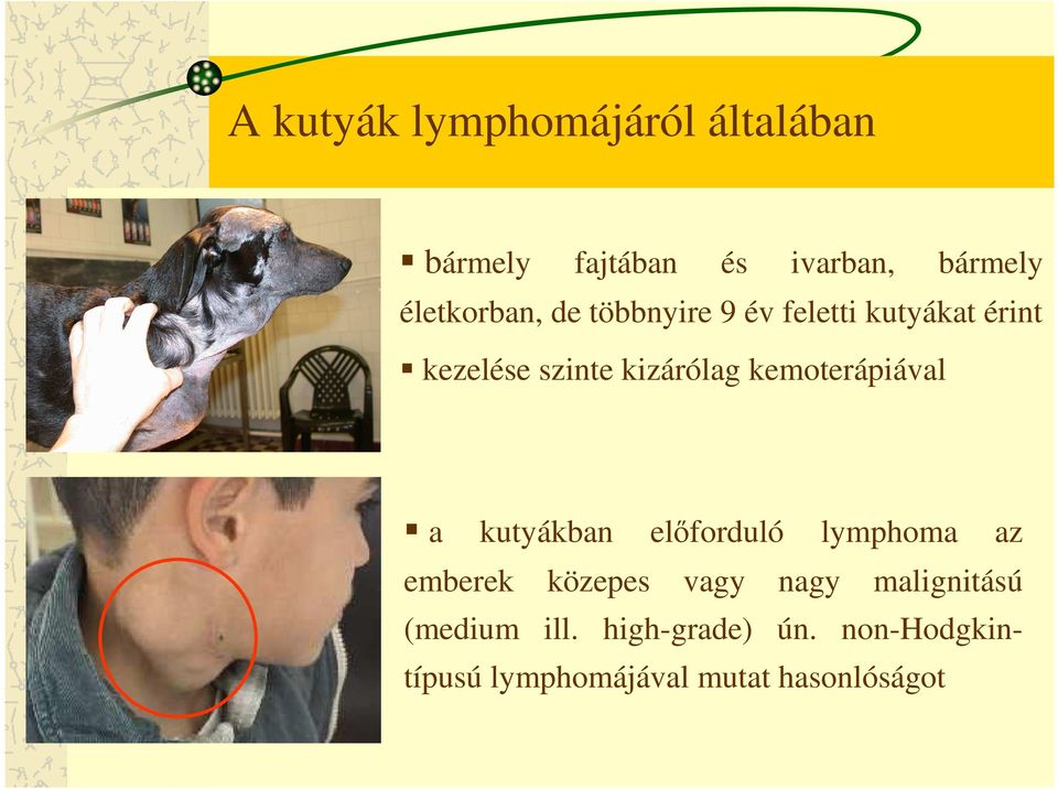 kemoterápiával a kutyákban elıforduló lymphoma az emberek közepes vagy nagy