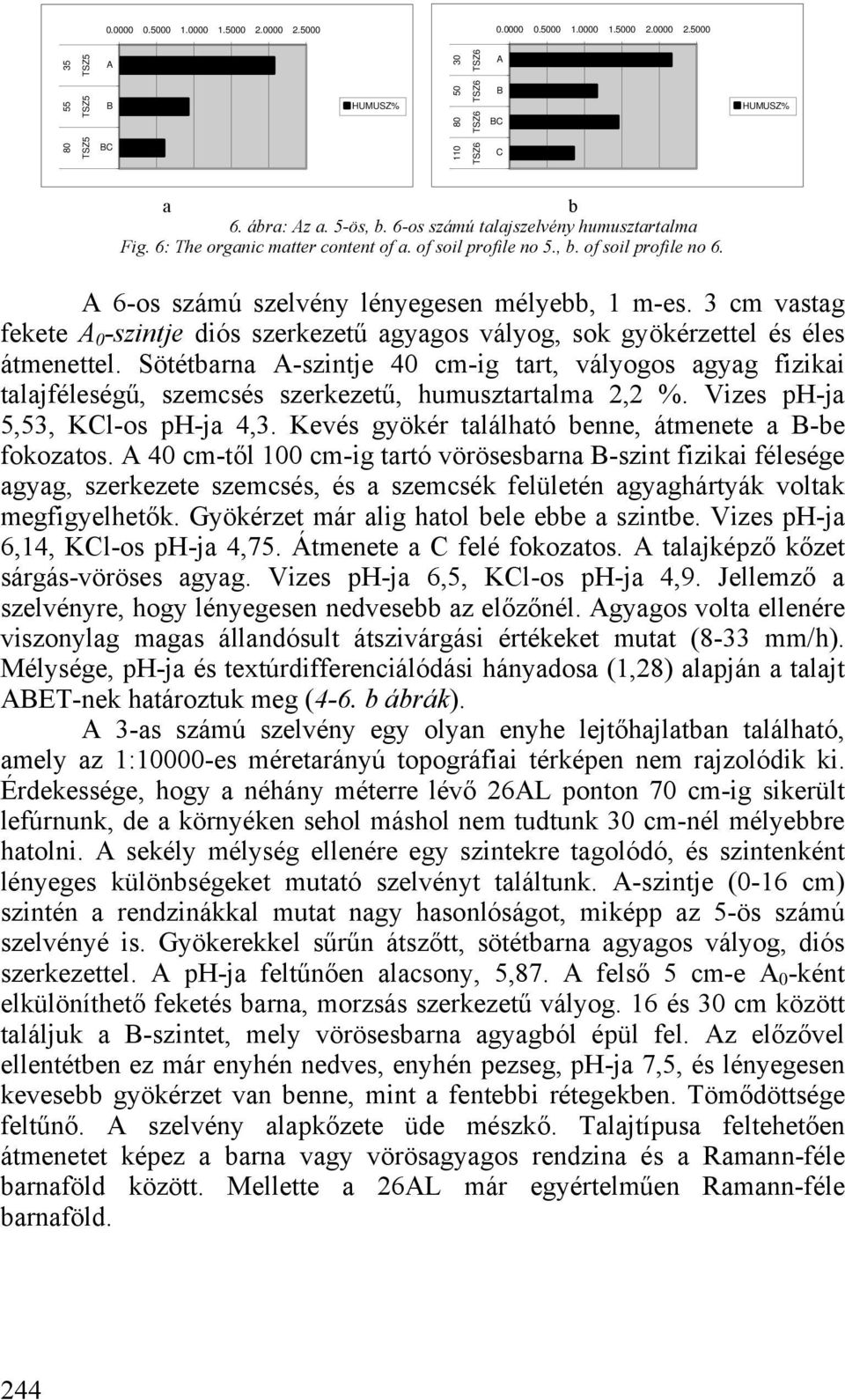 3 cm vastag fekete 0 -szintje diós szerkezetű agyagos vályog, sok gyökérzettel és éles átmenettel.