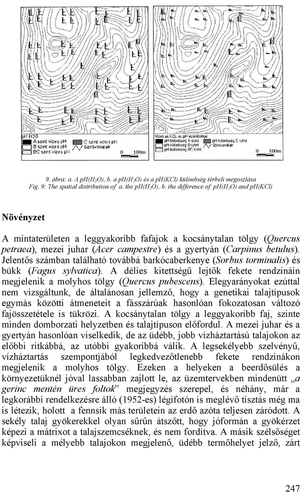 Jelentős számban található továbbá barkócaberkenye (Sorbus torminalis) és bükk (Fagus sylvatica). délies kitettségű lejtők fekete rendzináin megjelenik a molyhos tölgy (Quercus pubescens).