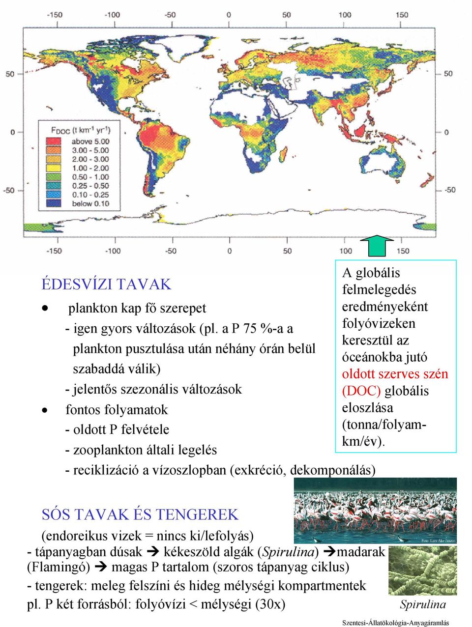 reciklizáció a vízoszlopban (exkréció, dekomponálás) A globális felmelegedés eredményeként folyóvizeken keresztül az óceánokba jutó oldott szerves szén (DOC) globális eloszlása