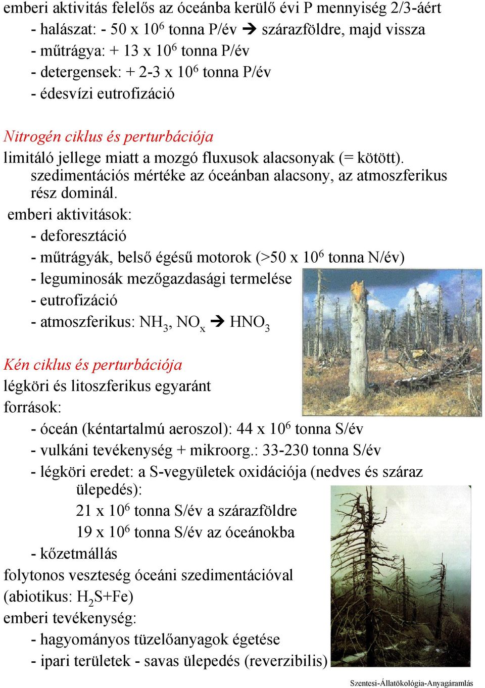 emberi aktivitások: - deforesztáció -műtrágyák, belső égésű motorok (>50 x 10 6 tonna N/év) - leguminosák mezőgazdasági termelése - eutrofizáció - atmoszferikus: NH 3, NO x HNO 3 Kén ciklus és