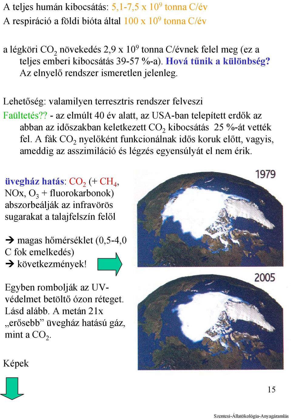 ? - az elmúlt 40 év alatt, az USA-ban telepített erdők az abban az időszakban keletkezett CO 2 kibocsátás 25 %-át vették fel.