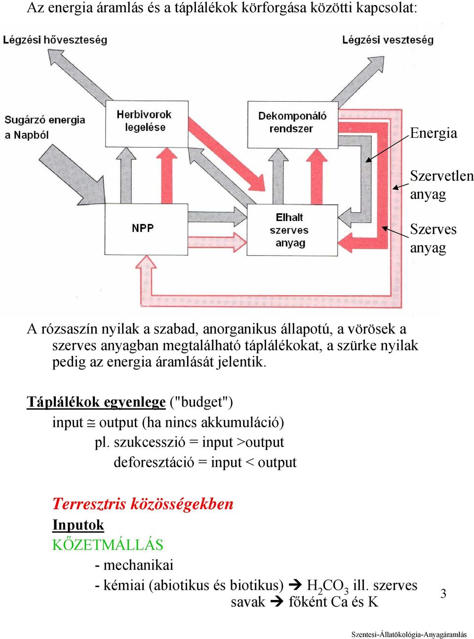 Táplálékok egyenlege ("budget") input output (ha nincs akkumuláció) pl.