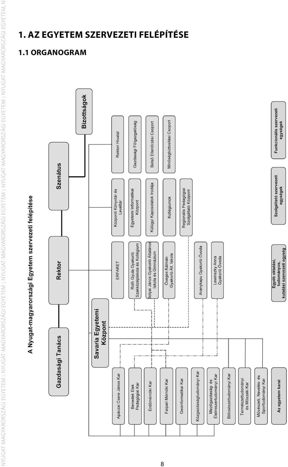 Ny 1. Az egyetem szervezeti felépítése 1.