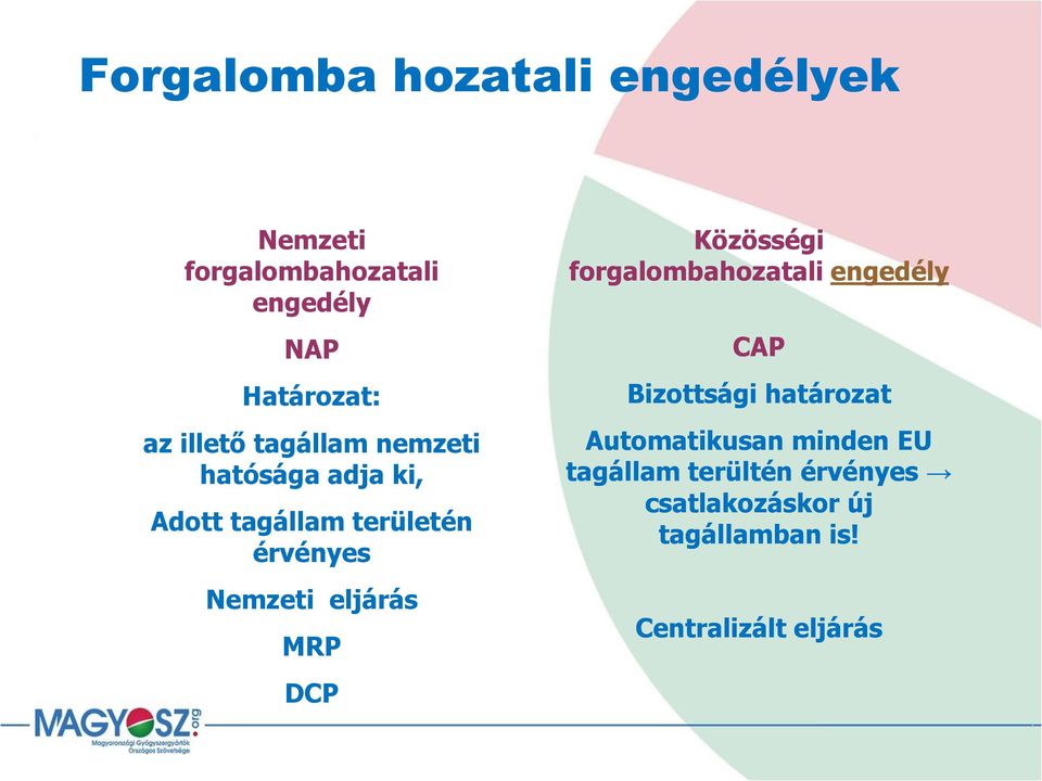 eljárás MRP DCP Közösségi forgalombahozatali engedély CAP Bizottsági határozat