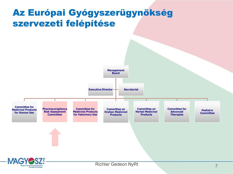 Committee Committee for Medicinal Products for Veterinary Use Committee on Orphan Medicinal