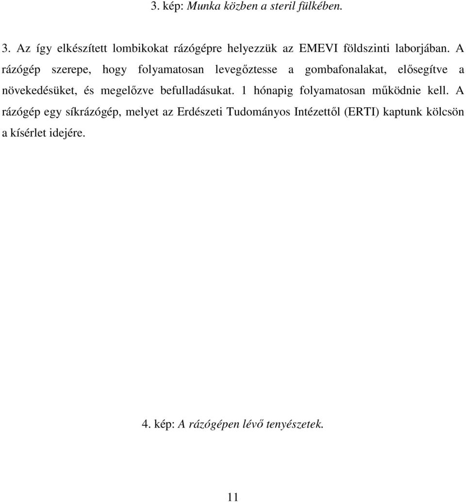 A rázógép szerepe, hogy folyamatosan levegıztesse a gombafonalakat, elısegítve a növekedésüket, és megelızve