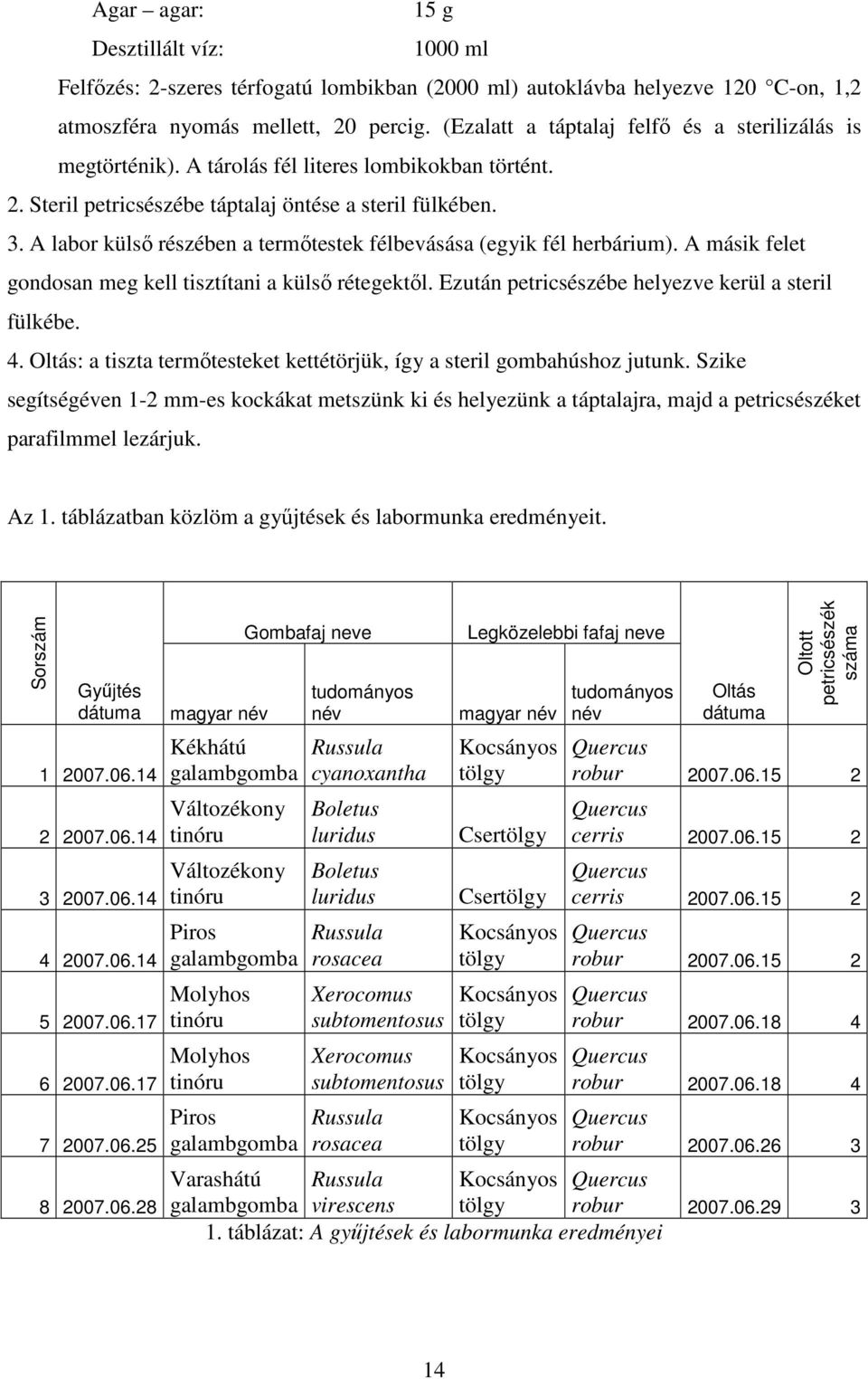 A labor külsı részében a termıtestek félbevásása (egyik fél herbárium). A másik felet gondosan meg kell tisztítani a külsı rétegektıl. Ezután petricsészébe helyezve kerül a steril fülkébe. 4.