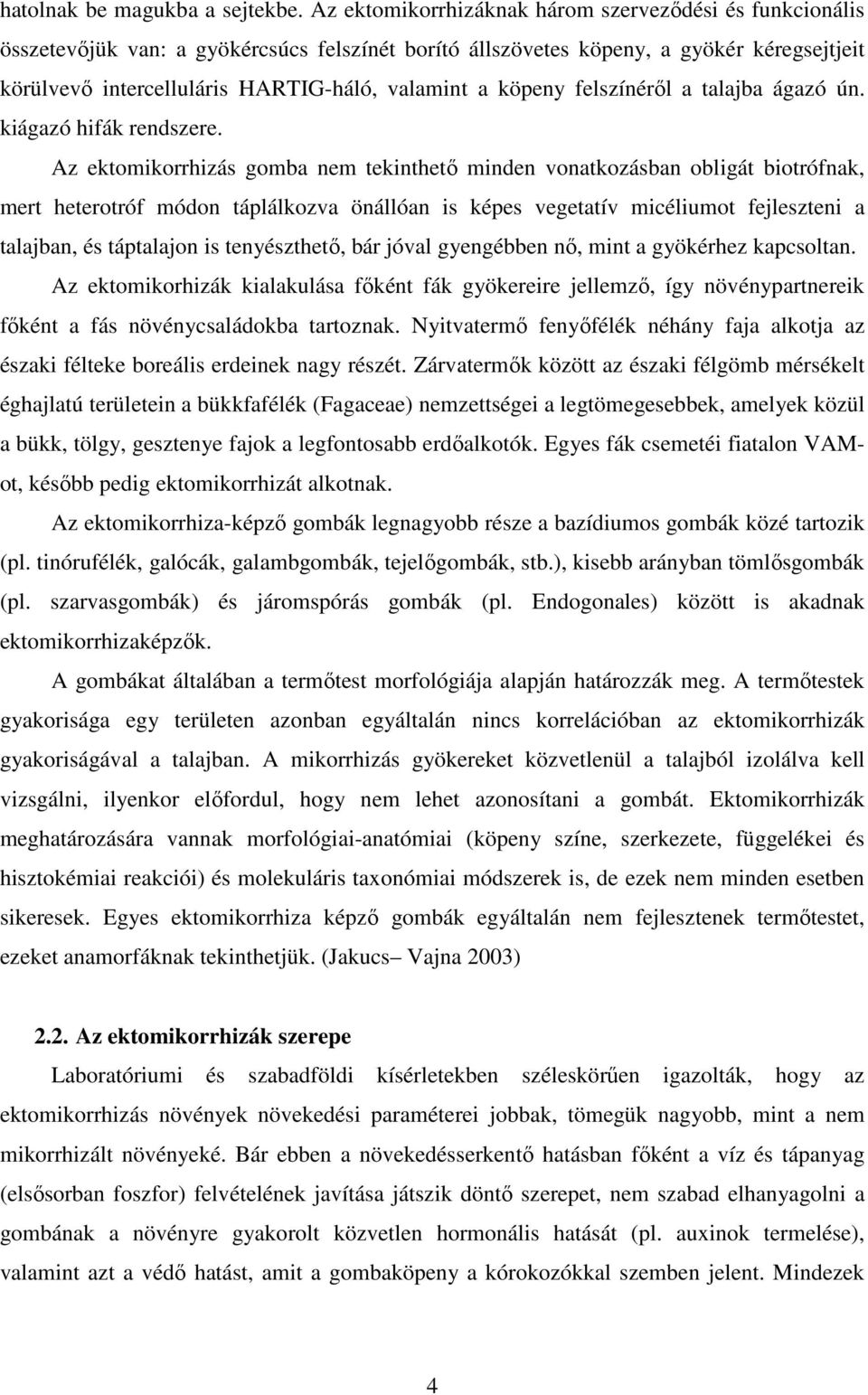 köpeny felszínérıl a talajba ágazó ún. kiágazó hifák rendszere.