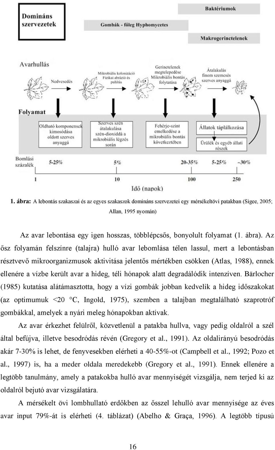 Az ősz folyamán felszínre (talajra) hulló avar lebomlása télen lassul, mert a lebontásban résztvevő mikroorganizmusok aktivitása jelentős mértékben csökken (Atlas, 1988), ennek ellenére a vízbe