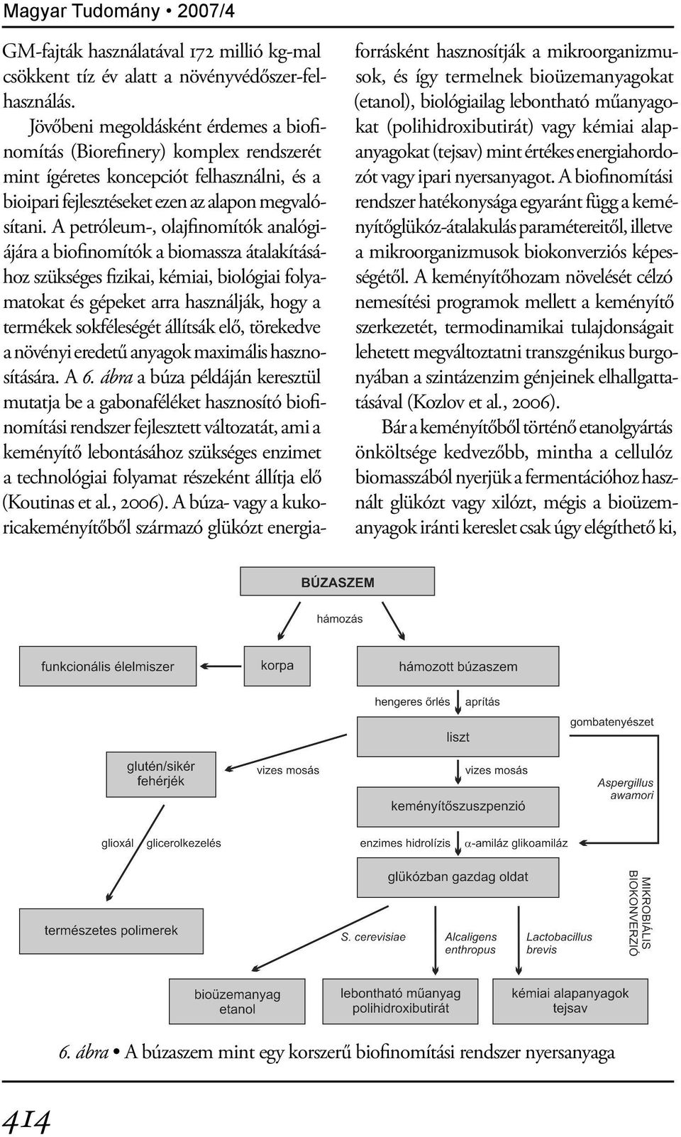 A petróleum-, olajfinomítók analógiájára a biofinomítók a biomassza átalakításához szükséges fizikai, kémiai, biológiai folyamatokat és gépeket arra használják, hogy a termékek sokféleségét állítsák