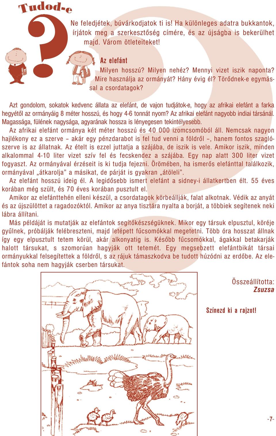 Azt gondolom, sokatok kedvenc állata az elefánt, de vajon tudjátok-e, hogy az afrikai elefánt a farka hegyétől az ormányáig 8 méter hosszú, és hogy 4-6 tonnát nyom?