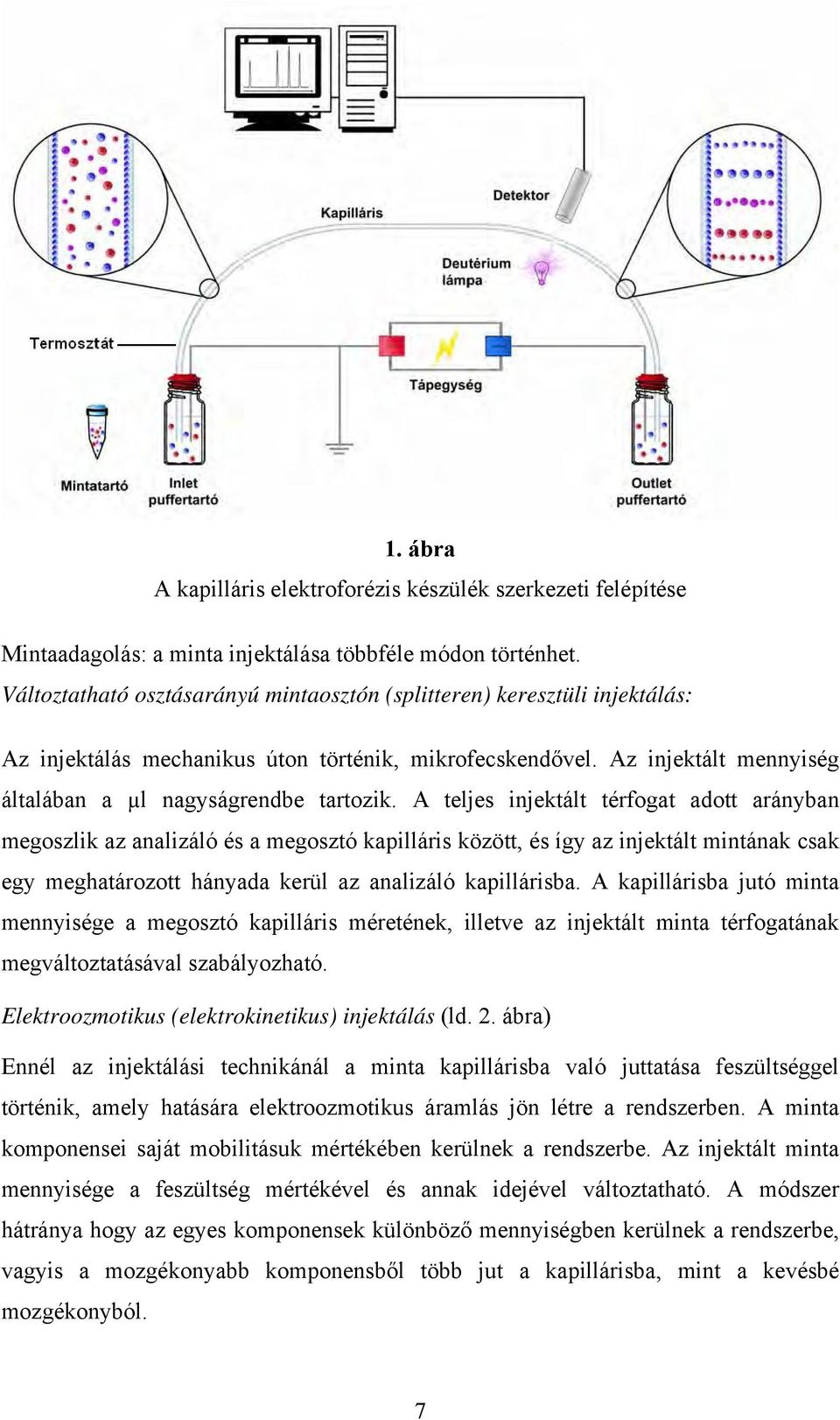 A teljes injektált térfogat adott arányban megoszlik az analizáló és a megosztó kapilláris között, és így az injektált mintának csak egy meghatározott hányada kerül az analizáló kapillárisba.