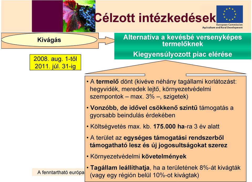 környezetvédelmi szempontok max. 3%, szigetek) Vonzóbb, de idővel csökkenő szintű támogatás a gyorsabb beindulás érdekében Költségvetés max. kb. 175.