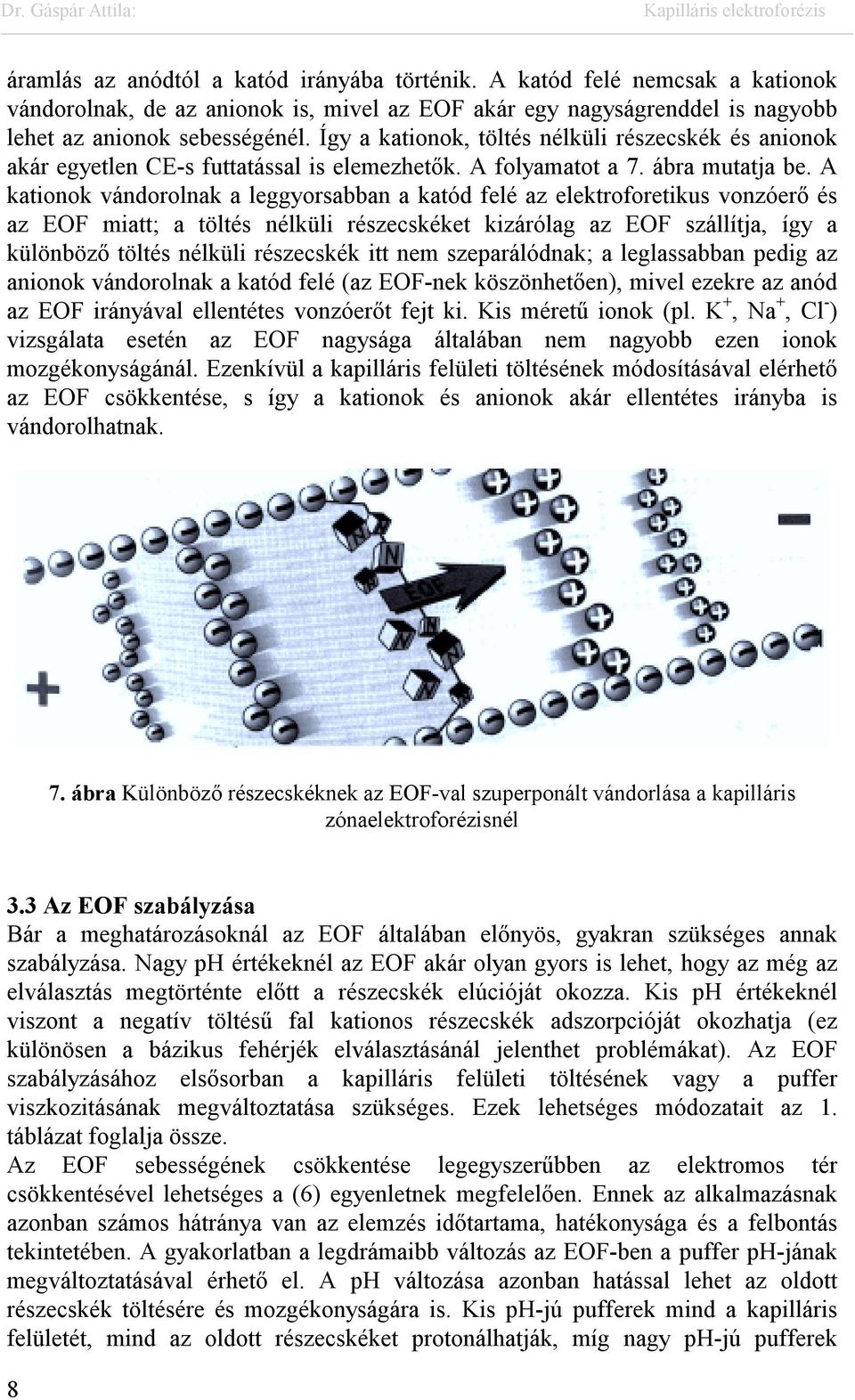 A kationok vándorolnak a leggyorsabban a katód felé az elektroforetikus vonzóerő és az EOF miatt; a töltés nélküli részecskéket kizárólag az EOF szállítja, így a különböző töltés nélküli részecskék