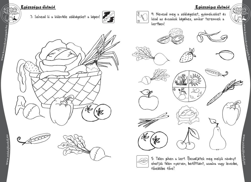 Nevezd meg a zöldségeket, gyümölcsöket és kösd az évszakok képéhez, amikor
