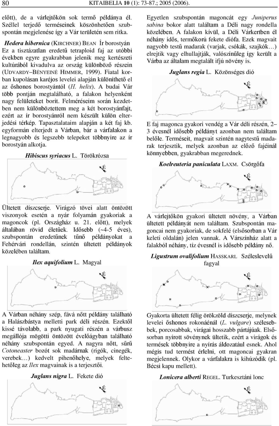 (UDVARDY BÉNYEINÉ HIMMER, 1999). Fiatal korban kupolásan karéjos levelei alapján különíthetõ el az õshonos borostyántól (H. helix).