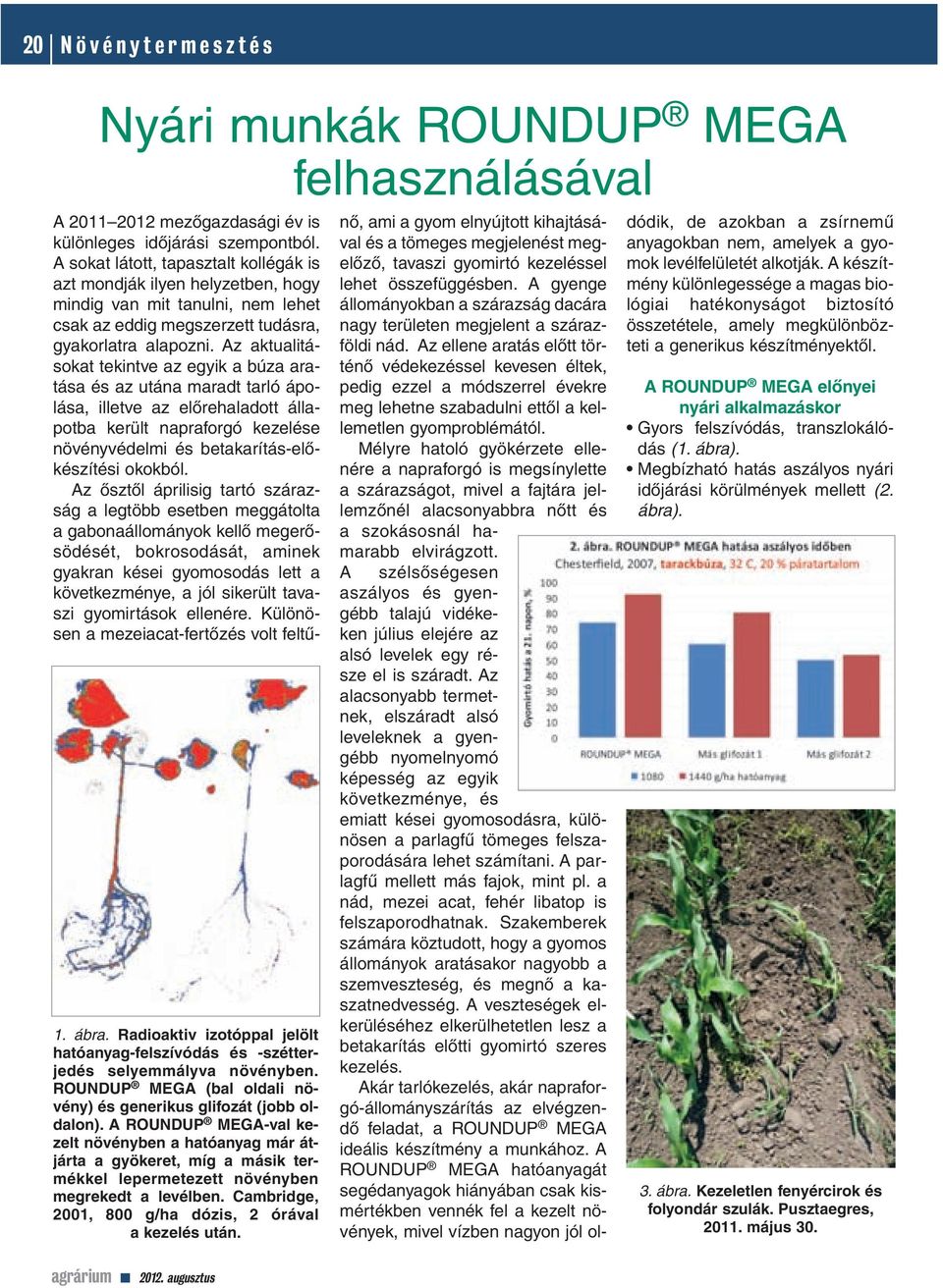 Az aktualitásokat tekintve az egyik a búza aratása és az utána maradt tarló ápolása, illetve az elôrehaladott állapotba került napraforgó kezelése növényvédelmi és betakarítás-elôkészítési okokból.