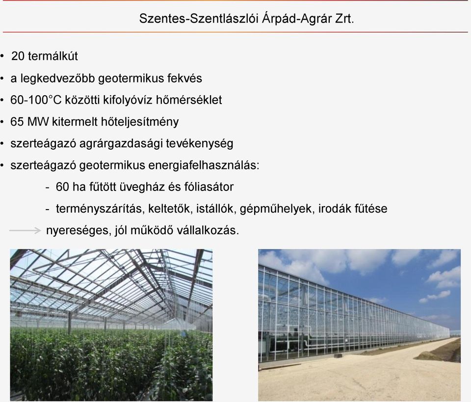 kitermelt hőteljesítmény szerteágazó agrárgazdasági tevékenység szerteágazó geotermikus