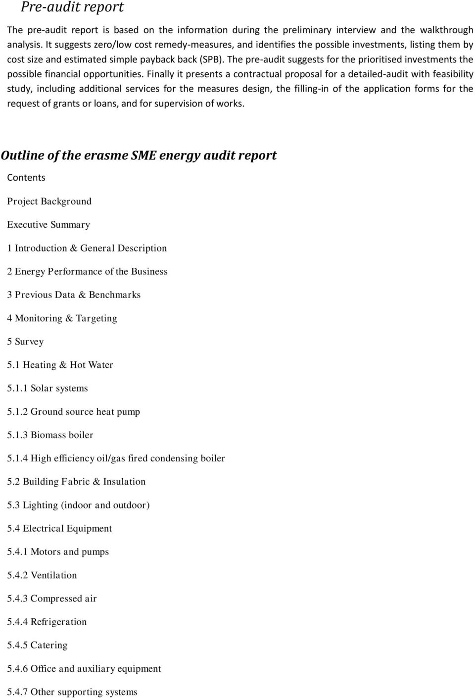 The pre-audit suggests for the prioritised investments the possible financial opportunities.