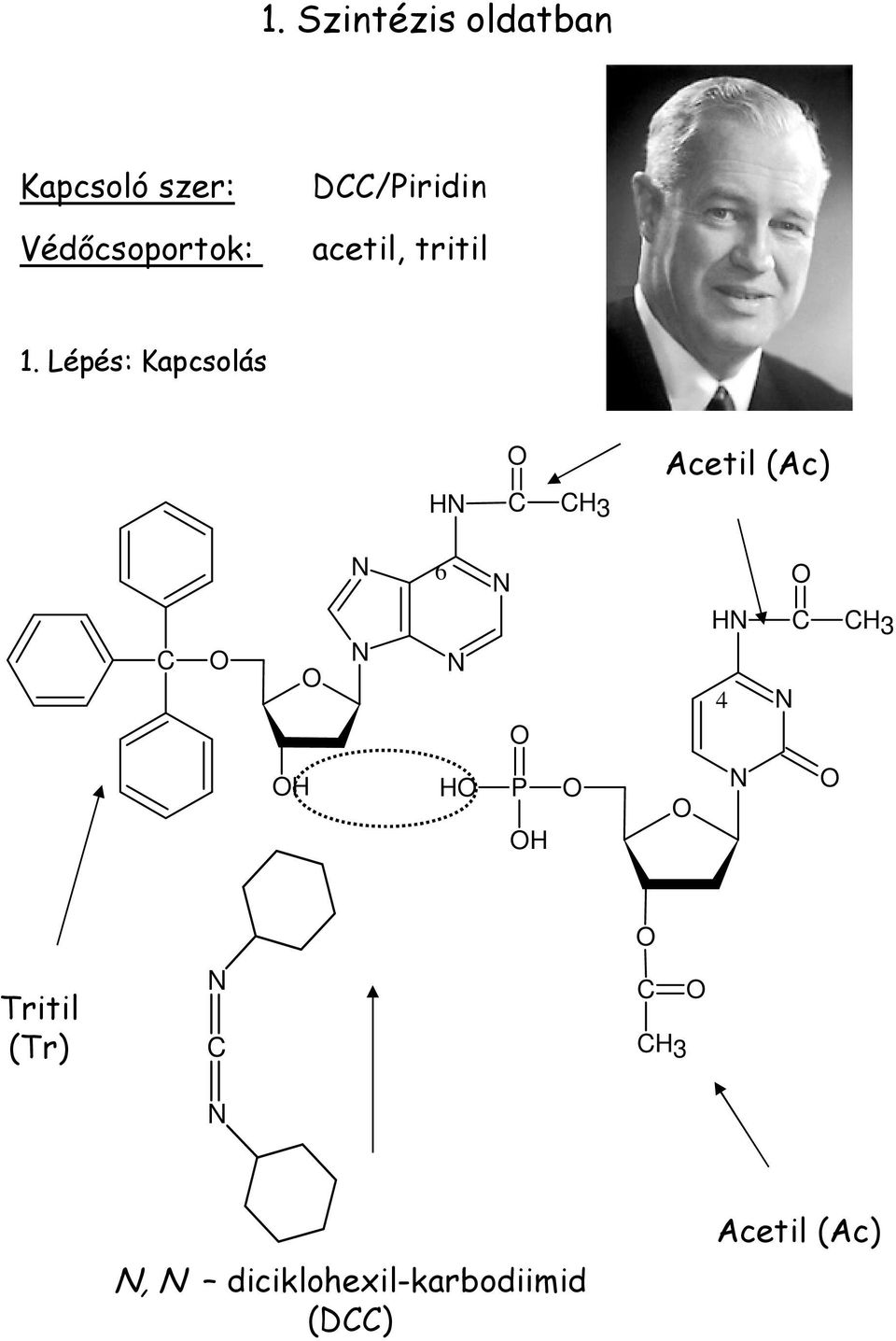 Lépés: Kapcsolás C Acetil (Ac) C 6 4 C