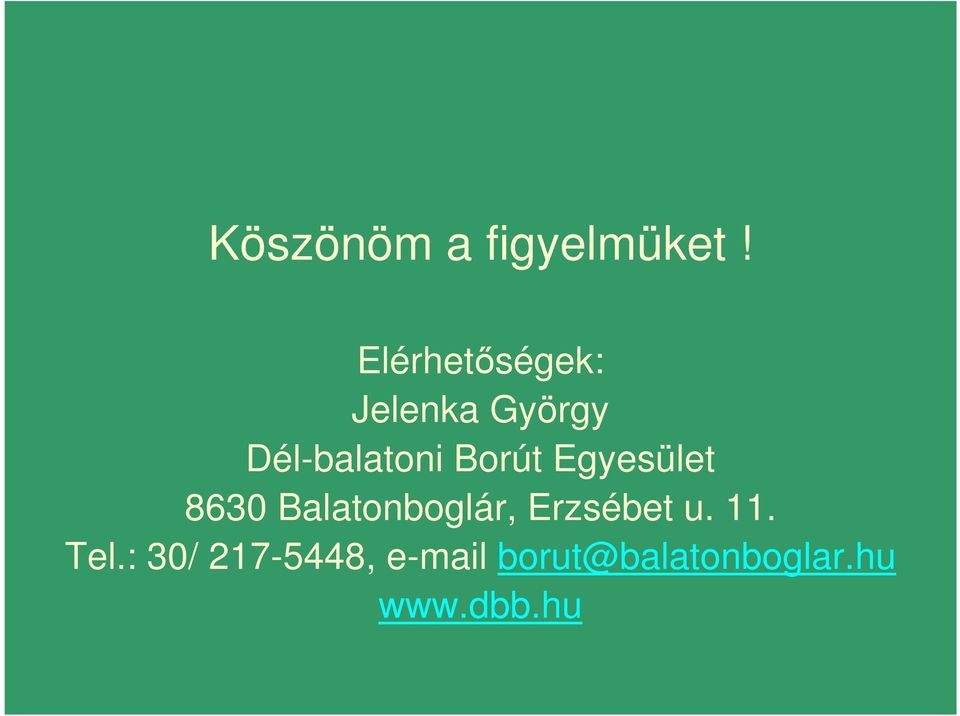 Borút Egyesület 8630 Balatonboglár, Erzsébet