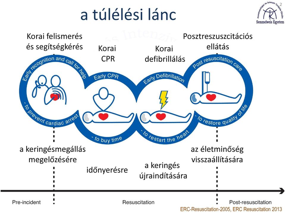 keringésmegállás megelőzésére időnyerésre a keringés