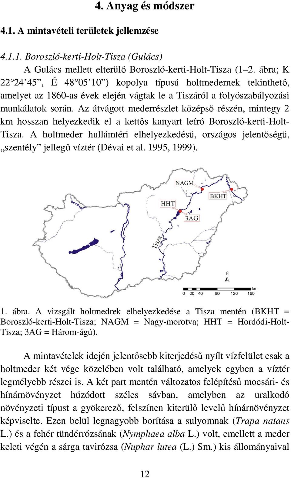 Az átvágott mederrészlet középsı részén, mintegy 2 km hosszan helyezkedik el a kettıs kanyart leíró Boroszló-kerti-Holt- Tisza.