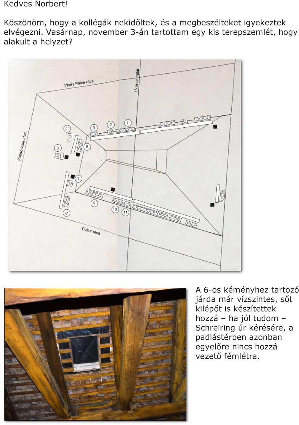 Vasárnap, november 3-án tartottam egy kis terepszemlét, hogy alakult a helyzet?